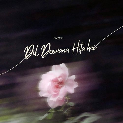 Dil Deewana hota hai