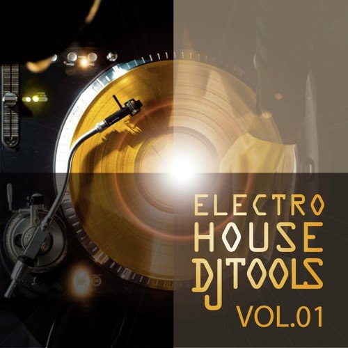 Electro House DJ Tools Vol.01