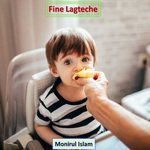Fine Lagteche
