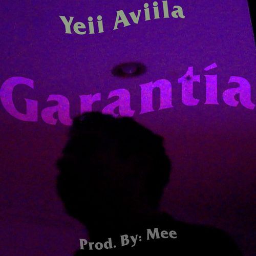 Garantía cover art