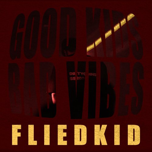 Good Kids Bad Vibes_poster_image