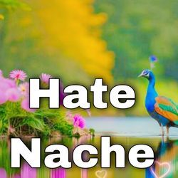 Hate Nache-HTACUz9ZTX8