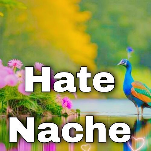Hate Nache