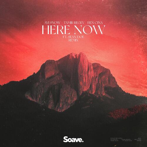 Here Now (feat. Sean Doe) - Remix_poster_image