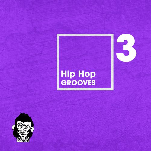 Hip Hop Grooves Vol 3