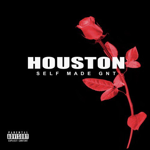 Houston cover art