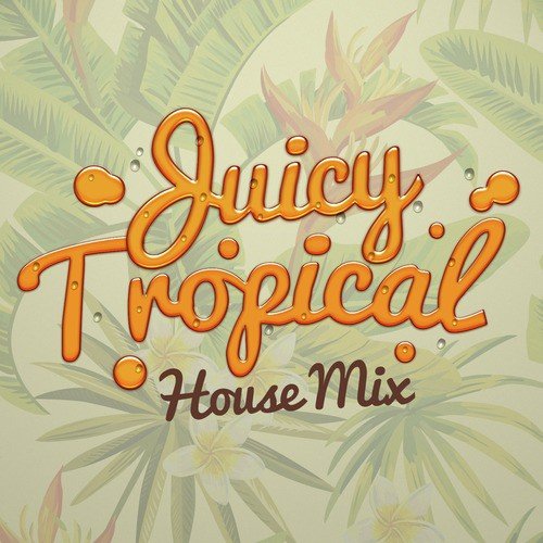 Juicy Tropical House Mix