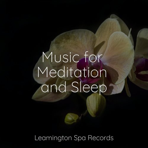 Music for Meditation and Sleep_poster_image