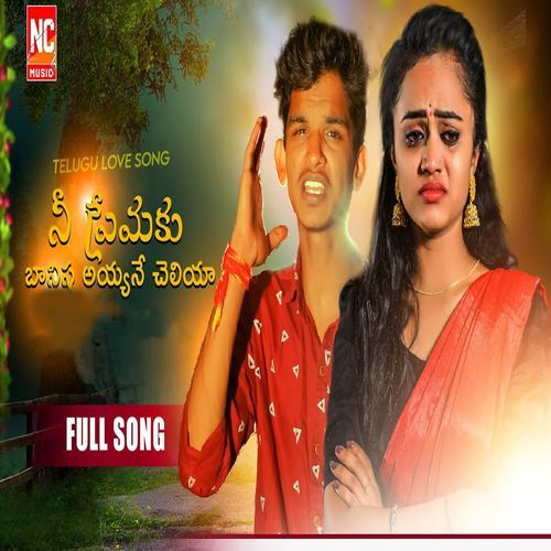 NEE PREMAKU BANISA AYYANE CHELIYA