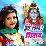 Om Namah Shivay