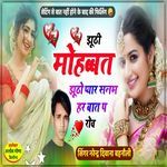 झूठी मोहब्बत झूठों प्यार सनम हर बात प रोव