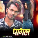 Pagal