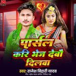 Parcel Kari Bhej Debau Dilwa