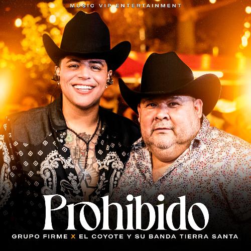 Prohibido (En Vivo)