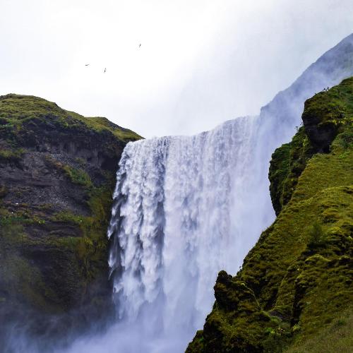 Relaxing Waterfall with Bird Sounds in the Background_poster_image