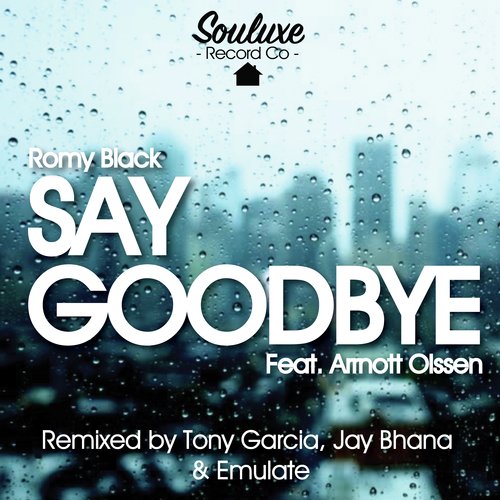 Say Goodbye (feat. Arrnott Olssen)_poster_image