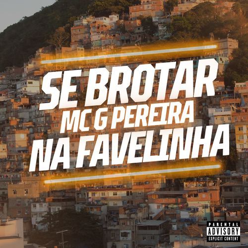 Se Brotar Na Favelinha_poster_image