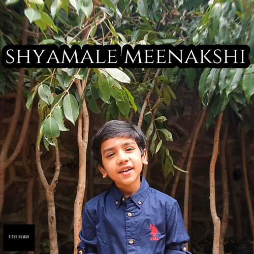 Shyamale Meenakshi (Instrumental)