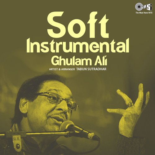 Soft Instrumental: Ghulam Ali