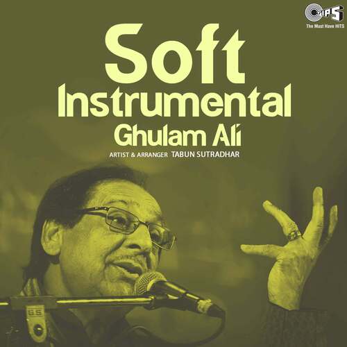 Soft Instrumental Ghulam Ali (Instrumental)