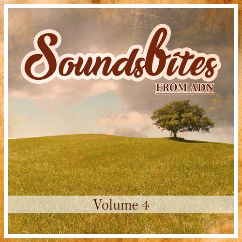 Soundsbites from ADN, Vol. 4