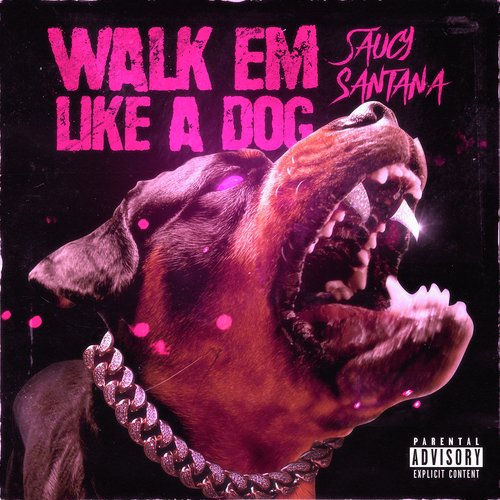 Walk Em Like a Dog_poster_image