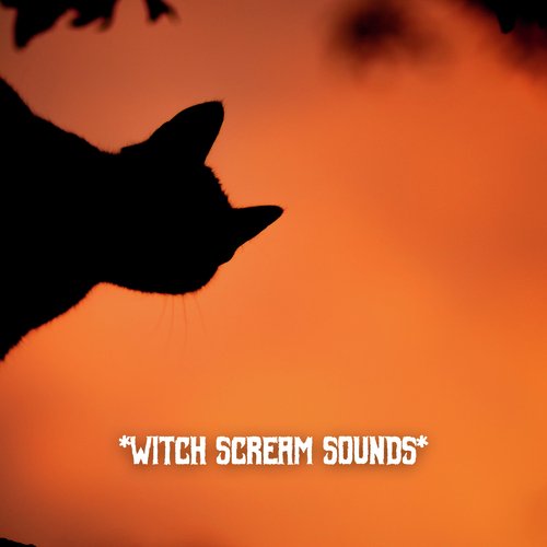 Halloween Music cover art