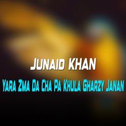 Yara Zma Da Cha Pa Khula Gharzy Janan