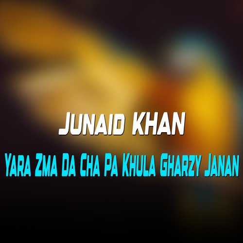 Yara Zma Da Cha Pa Khula Gharzy Janan