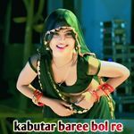 kabutar baree bol re