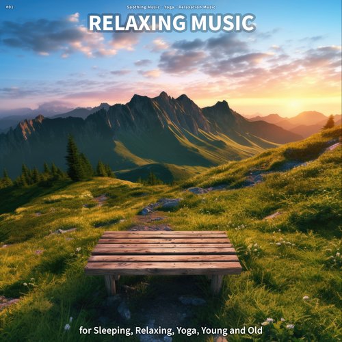 #01 Relaxing Music for Sleeping, Relaxing, Yoga, Young and Old_poster_image