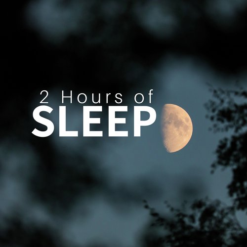 Natural Sleep Zone cover art