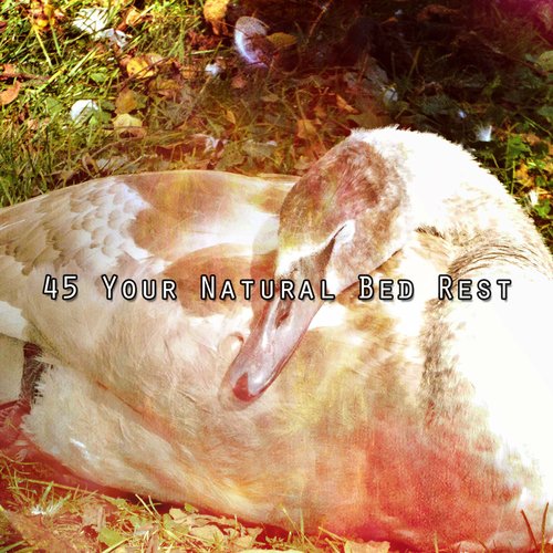 45 Your Natural Bed Rest