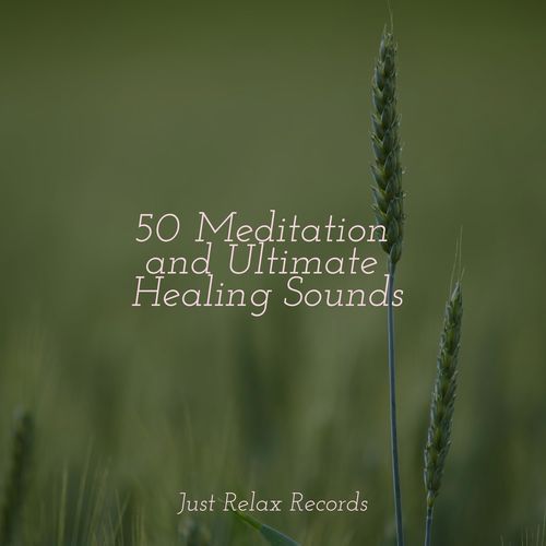 50 Meditation and Ultimate Healing Sounds_poster_image