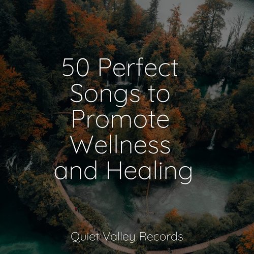 Focused, Relaxed cover art