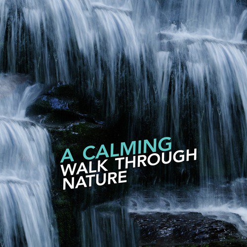A Calming Walk Through Nature