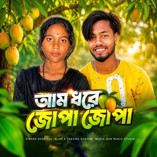 Am Dhore Jhopa Jhopa