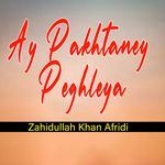 Ay Pakhtaney Peghleya