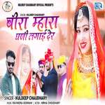 Beera Mhara Ghani Lagai Der (feat. Nirma Choudhary)