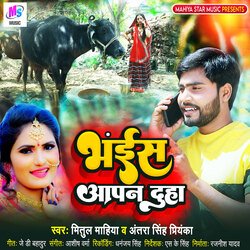 Bhains Aapan Duhaa-HgMHaS11BEM