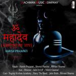 Om Namah Shivay Mantra 108 Bar