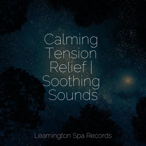 Calming Tension Relief | Soothing Sounds