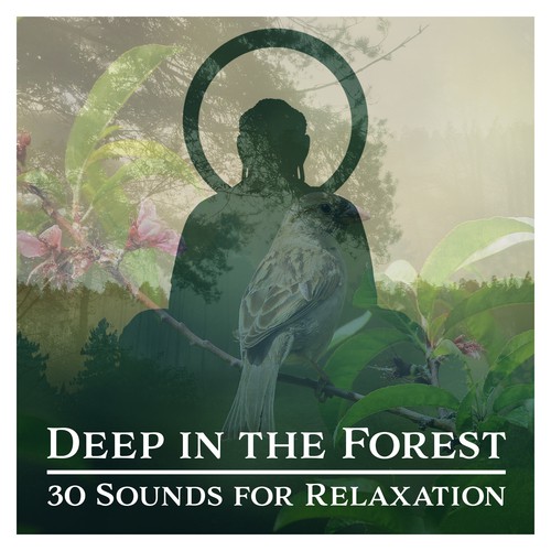 Deep in the Forest (30 Sounds for Relaxation, Meditation, Healing, Deep Sleep and Yoga, Natural Ambiences Collection)