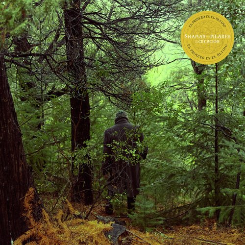 El Año del Gallo cover art