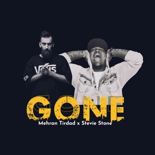 Gone (feat. Stevie Stone)_poster_image