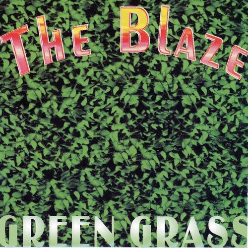 Green Grass_poster_image