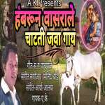 Hambarun Vasarale Chatati Java Gaay