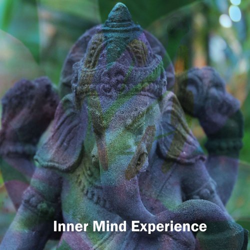 Inner Mind Experience