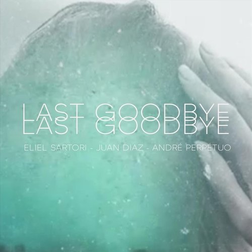 Last Goodbye cover art