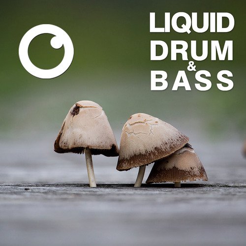 Liquid Drum & Bass Sessions 2020 Vol 20 (The Mix)